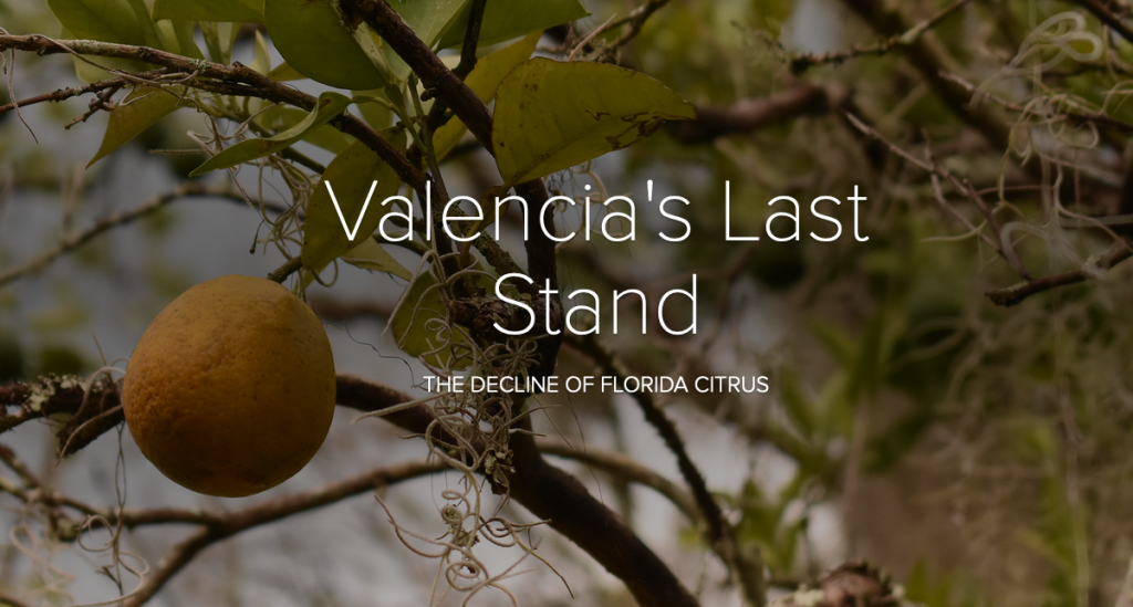Valencia's Last Stand: The Decline of Florida Citrus by Elise Plunk